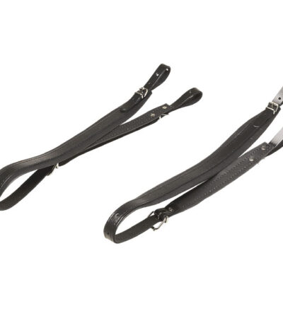 Ortola - Correa Acordeon Un Par