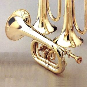 CORNETA CORTA 2 PISTONES