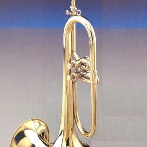 CORNETA LARGA 2 PISTONES