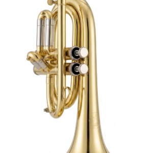CORNETA 2 PISTONES APOLO AP-563-2L