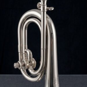 CORNETA APOLO AP-500N